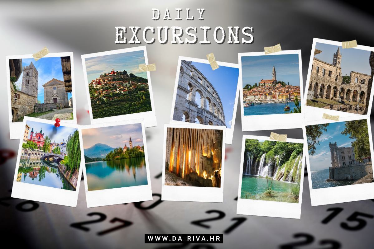 Daily Excursions schedule 2024