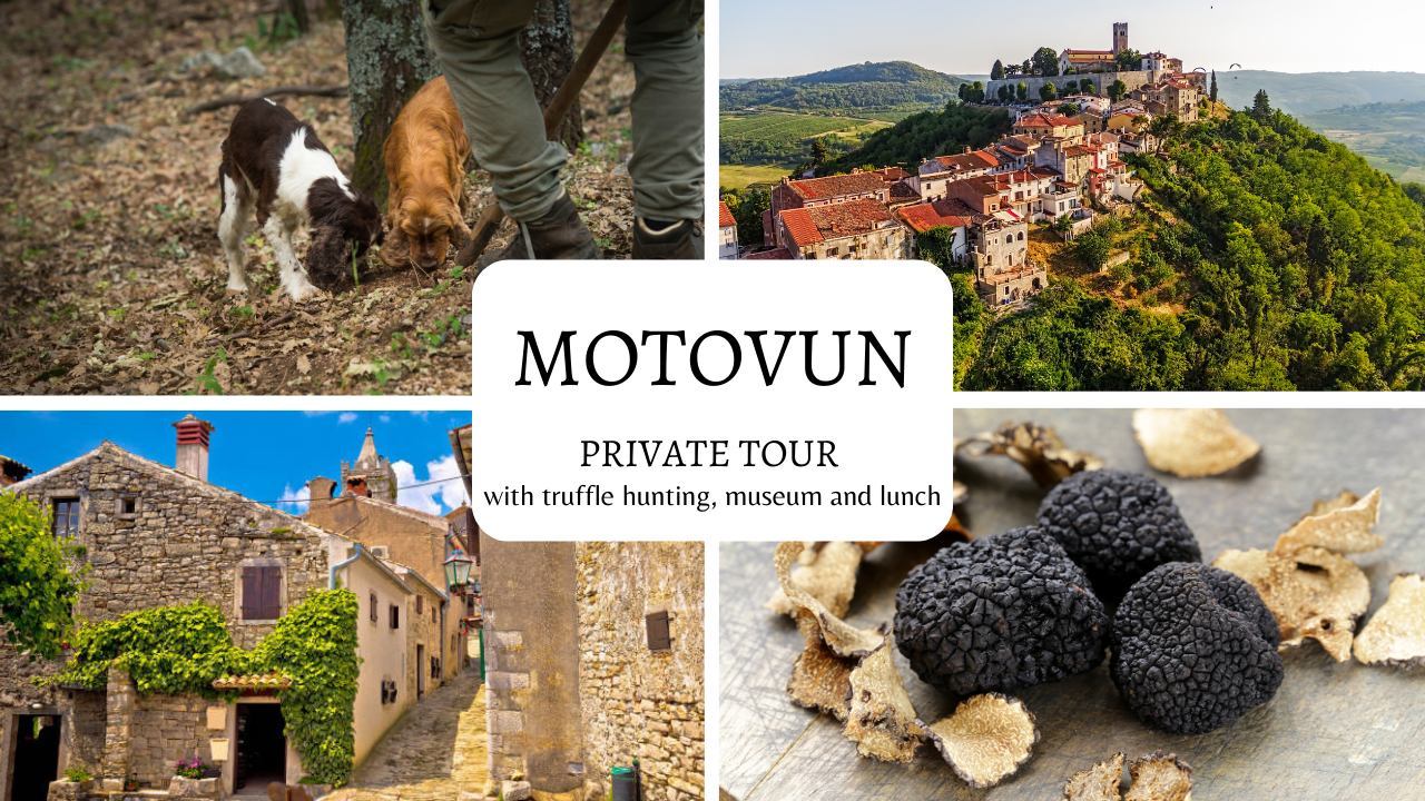 Private excursion: experience truffle hunting and explore magical MOTOVUN